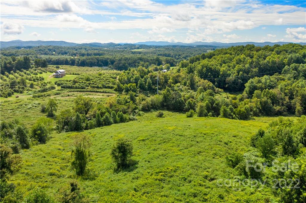 465 Good Looking Road Hendersonville, NC 28792 - Photo 2 of 17 a view of a green field with lots of green space