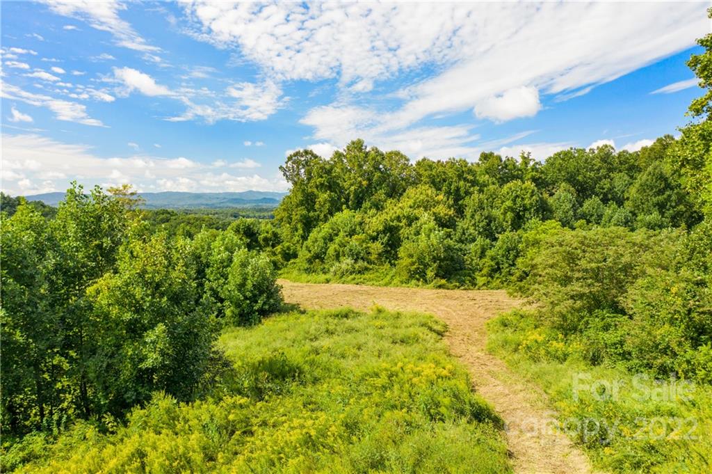465 Good Looking Road Hendersonville, NC 28792 - Photo 4 of 17