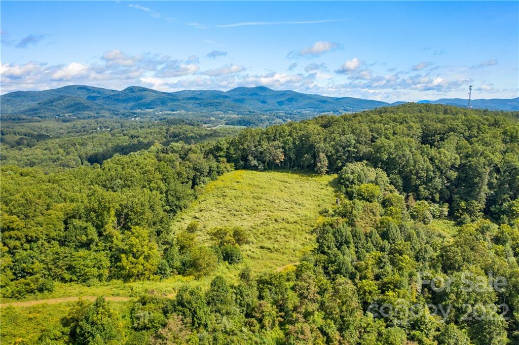 465 Good Looking Road Hendersonville, NC 28792 - Photo 5 of 17 a view of an outdoor space and mountain view