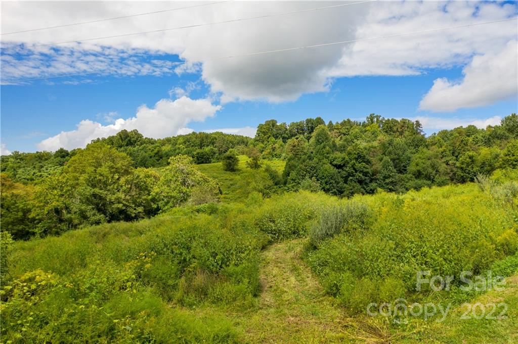 465 Good Looking Road Hendersonville, NC 28792 - Photo 7 of 17 a view of a lake with a yard
