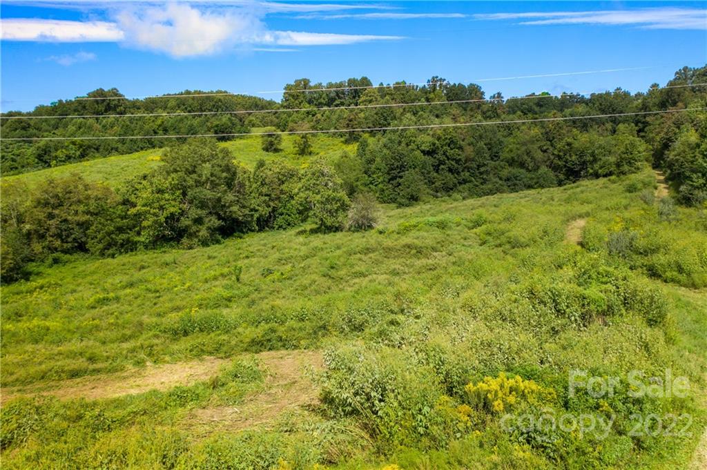 465 Good Looking Road Hendersonville, NC 28792 - Photo 8 of 17 a view of a city with lush green forest