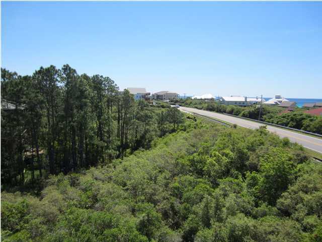 6272 Co Road Santa Rosa Beach, FL 32459 - Photo 18 of 19 a view of a green field with lots of bushes
