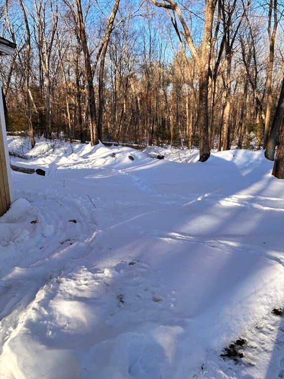 109 Blackstone Street, Unit 109 Bellingham, MA 02019 - Photo 5 of 15 a view of outdoor space with trees