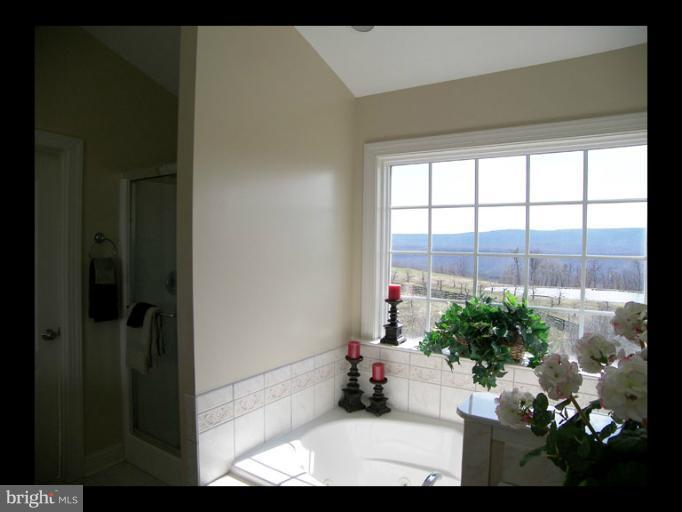 1151 Muse Road Gore, VA 22637 - Photo 19 of 30 Bath (Master)