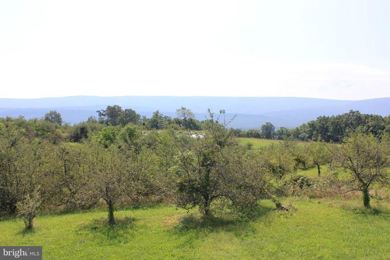 1151 Muse Road Gore, VA 22637 - Photo 29 of 30 View