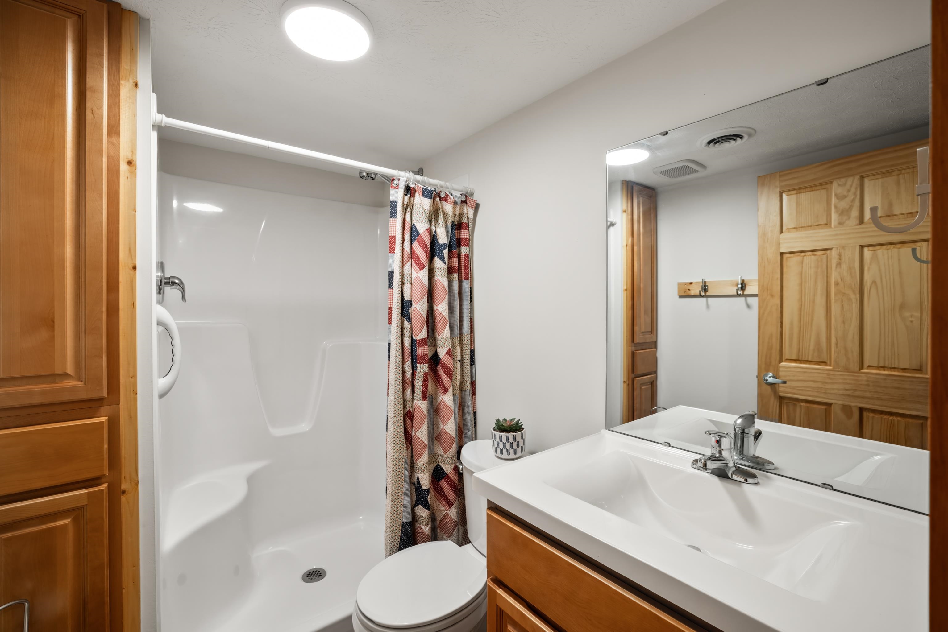 232 Old Back Road Raphine, VA 24472 - Photo 26 of 62 a bathroom with a sink toilet and shower