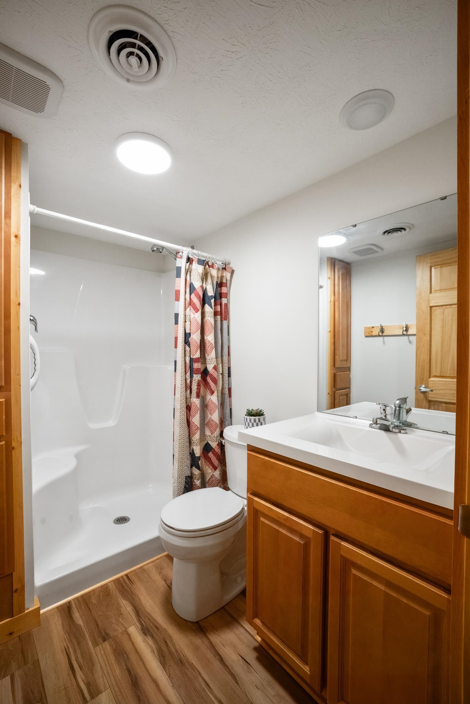 232 Old Back Road Raphine, VA 24472 - Photo 27 of 62 a bathroom with a sink a toilet and shower
