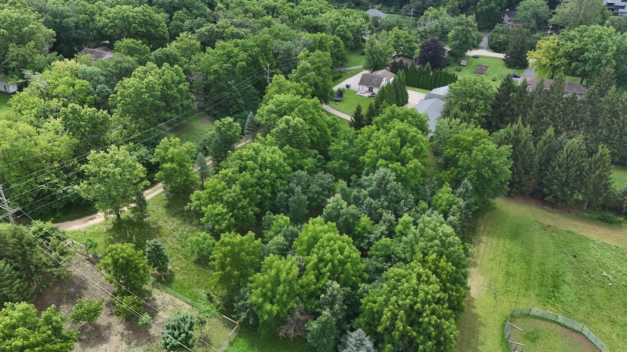 910 Stony Point Road Dixon, IL 61021 - Photo 29 of 44