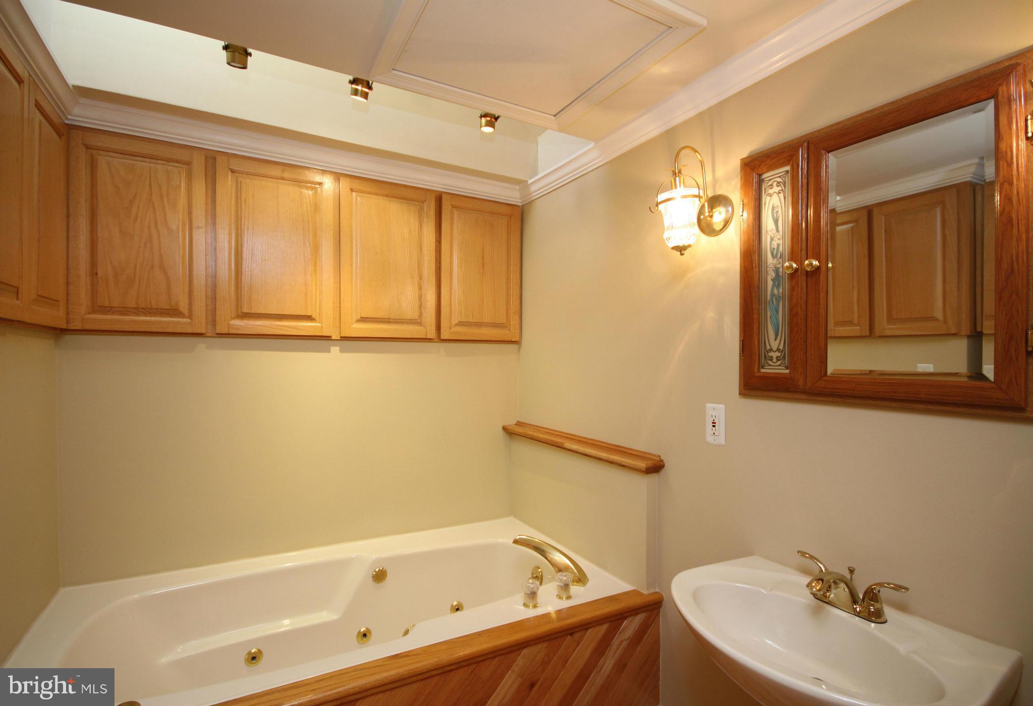 7301 Family Acres Road Hanover, MD 21076 - Photo 19 of 30 Bath (Master)