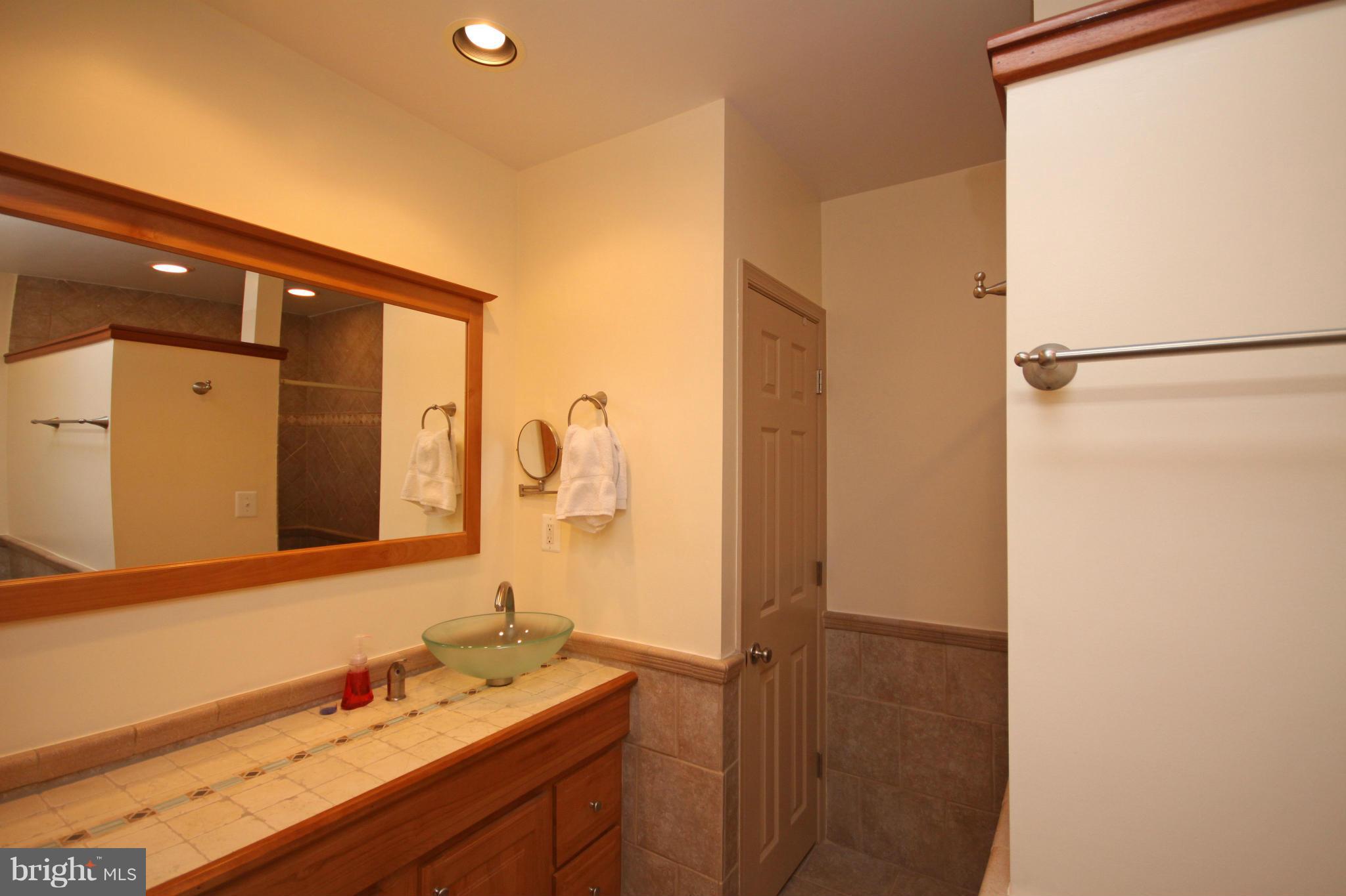 7301 Family Acres Road Hanover, MD 21076 - Photo 21 of 30 Bath (Master) 2