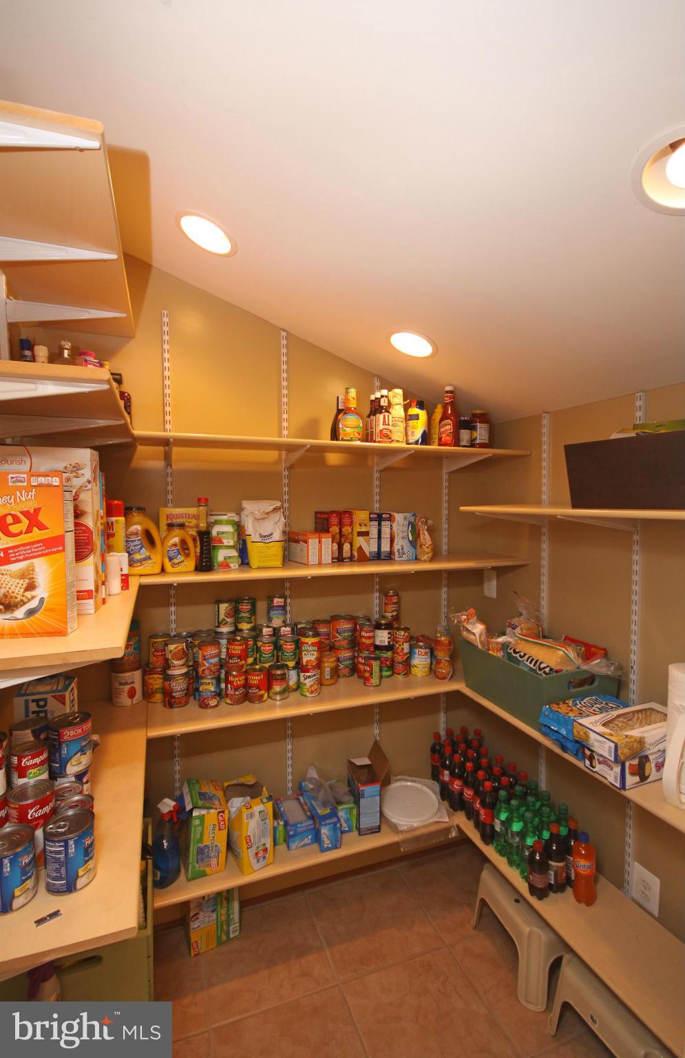 7301 Family Acres Road Hanover, MD 21076 - Photo 8 of 30 Kitchen Pantry