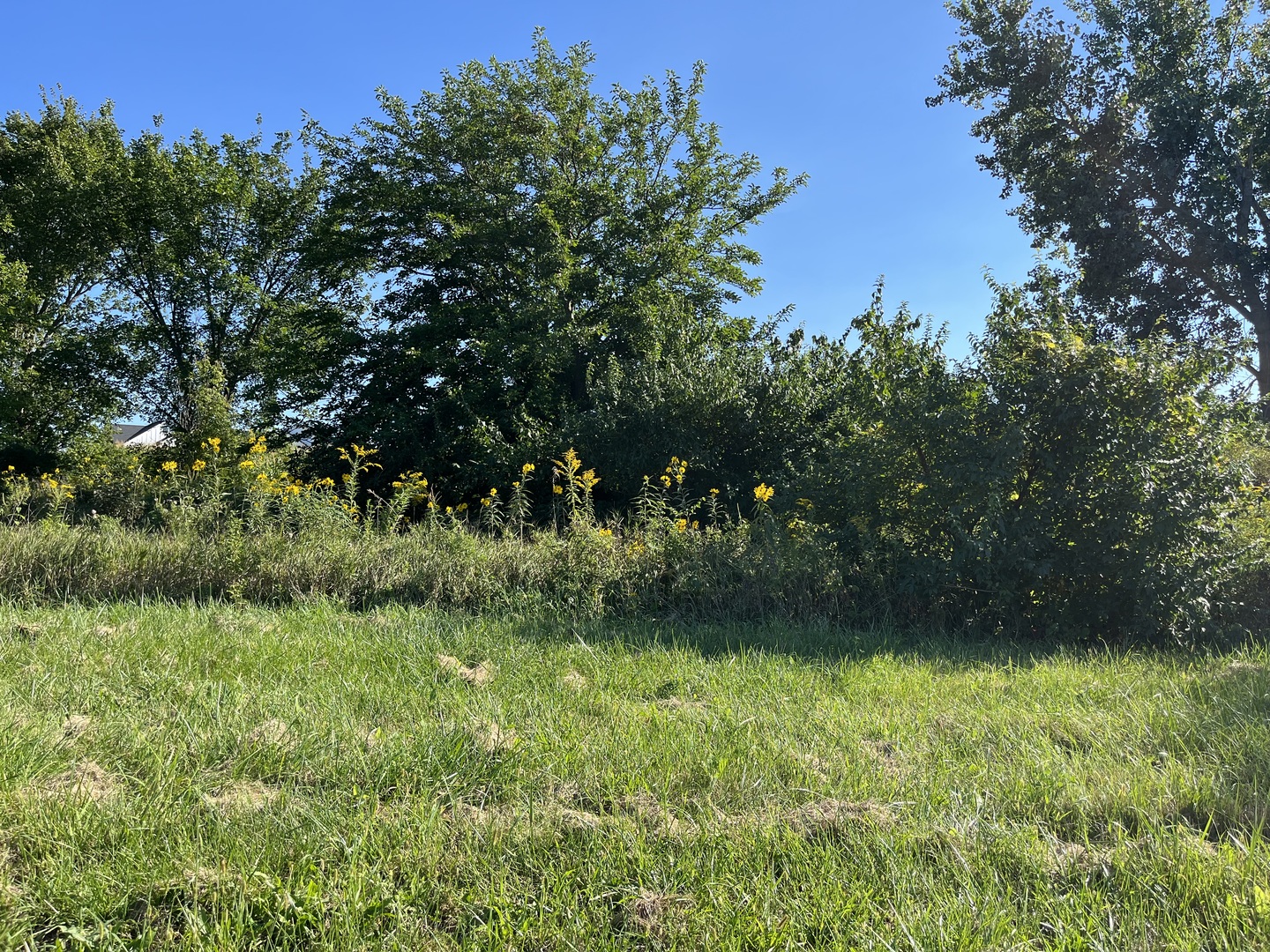 Undisclosed Address Frankfort, IL 60423 - Photo 1 of 6 a view of a yard