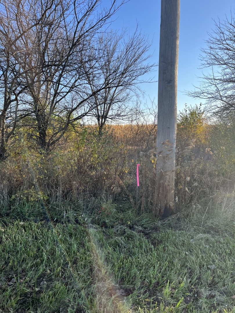 Undisclosed Address Frankfort, IL 60423 - Photo 5 of 6 a view of a pathway of a building