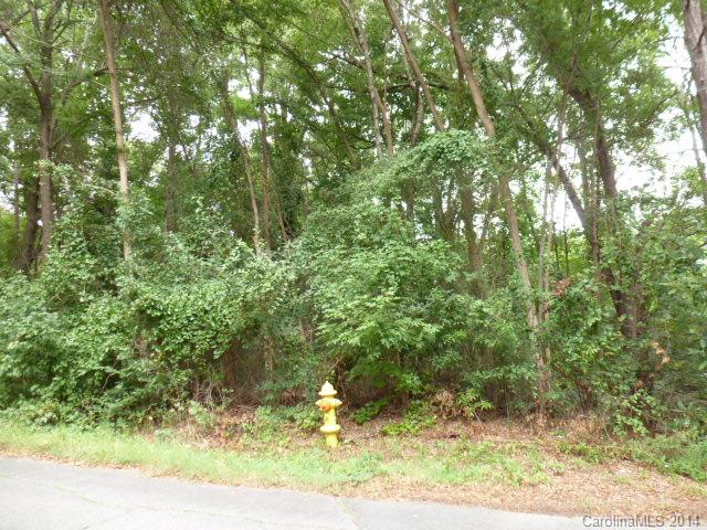 1105 State Rd S-29-489 Lancaster, SC 29720 - Photo 2 of 5 Gallery Image 2