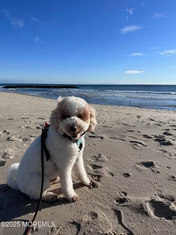 a view of beach and ocean