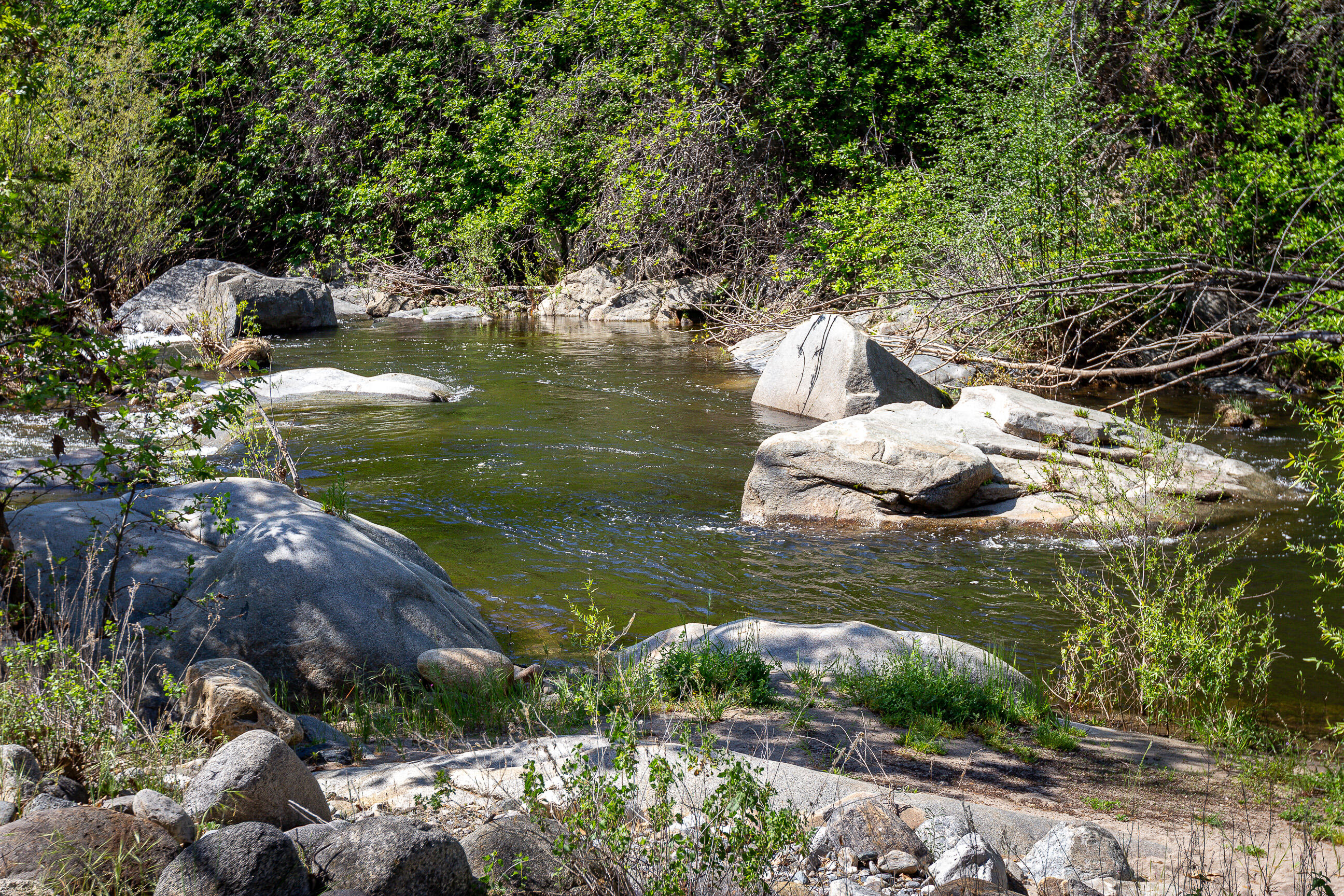 44335 North Fork Three Rivers, CA 93271 - Photo 30 of 53 IMG_1575