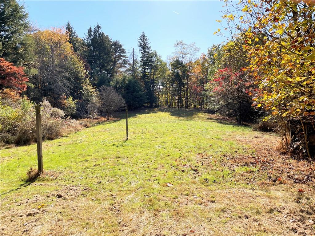 919 Harper Road Crescent, PA 15046 - Photo 12 of 41 a view of empty yard