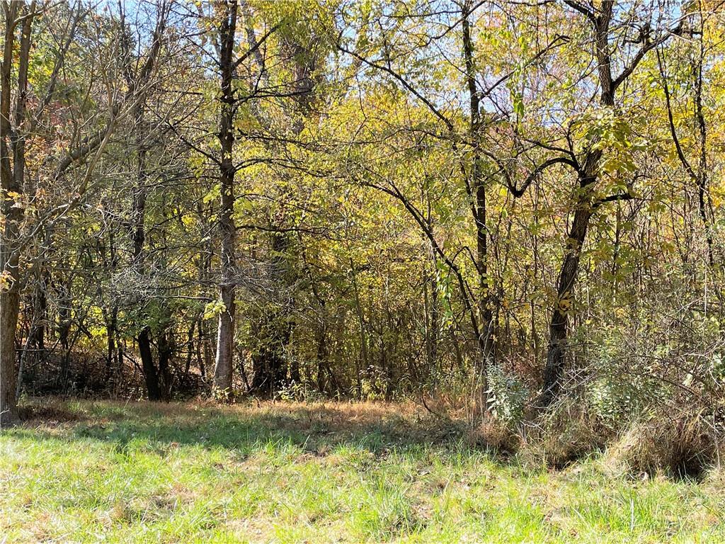 919 Harper Road Crescent, PA 15046 - Photo 13 of 41 a view of a yard with plants
