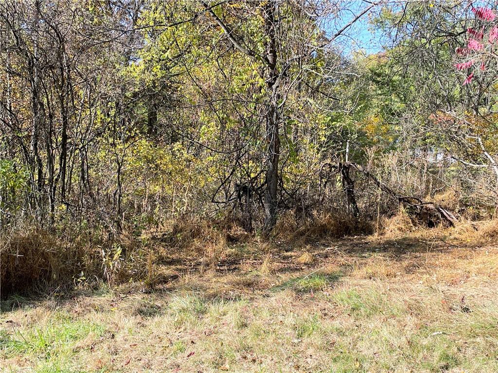 919 Harper Road Crescent, PA 15046 - Photo 14 of 41 a view of large trees