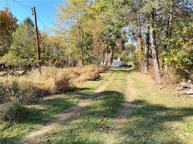 a view of yard with large trees