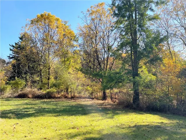 a view of a swimming pool and trees in the background