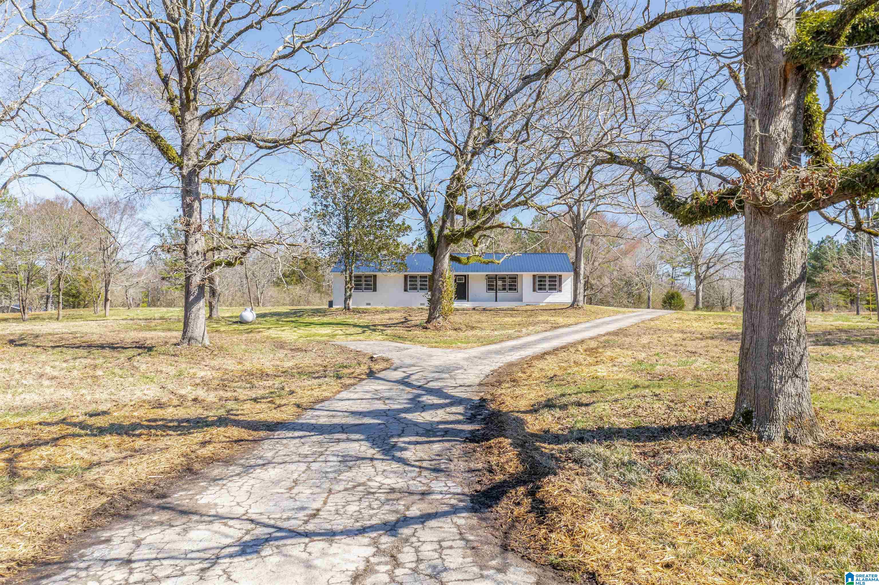 4592 Cedar Springs Road Jacksonville, AL 36265 - Photo 24 of 37