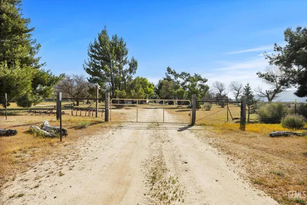 a view of yard with trees