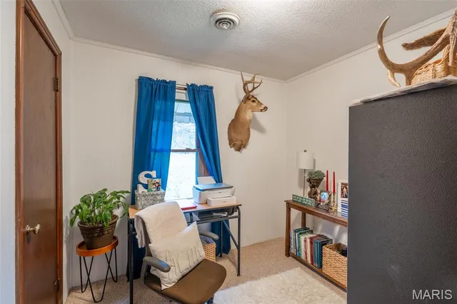 $225,000 | 927 North 2nd Street, Piedmont, MO 63957