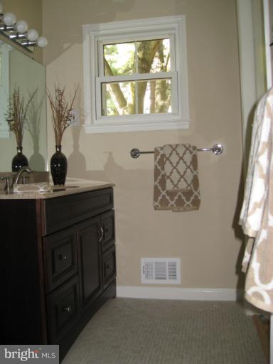 9911 Vale Road Vienna, VA 22181 - Photo 3 of 19 Bath (Master)
