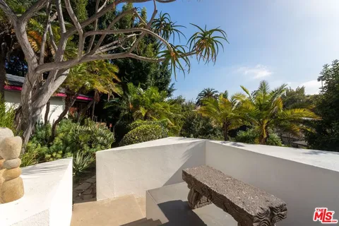 a view of a yard