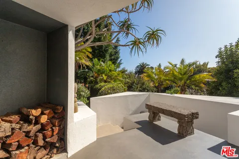 a view of outdoor space with plants