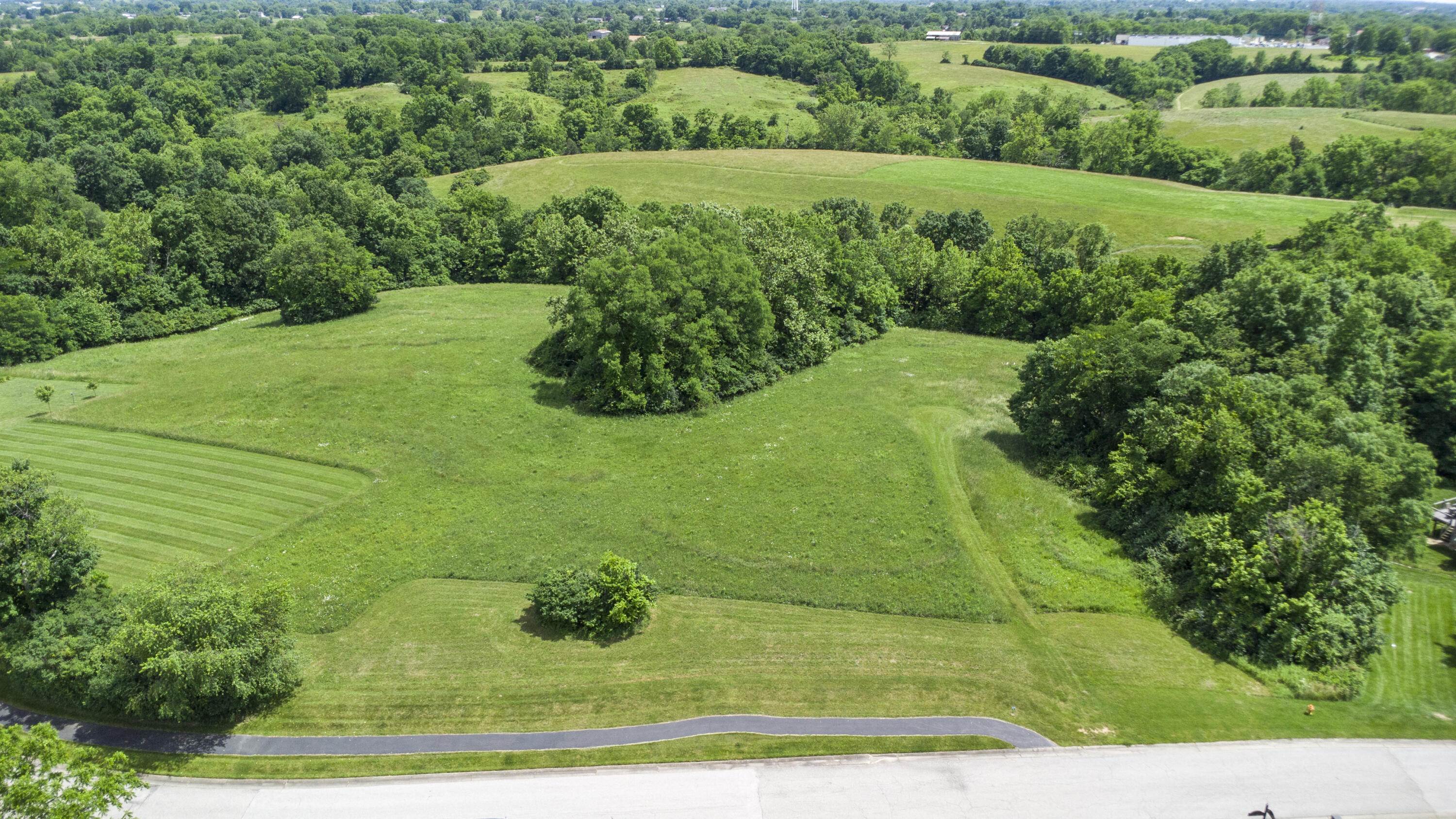 101 Hogan's Parkway Dry Ridge, KY 41035 - Photo 7 of 16 Hogans Mill-3