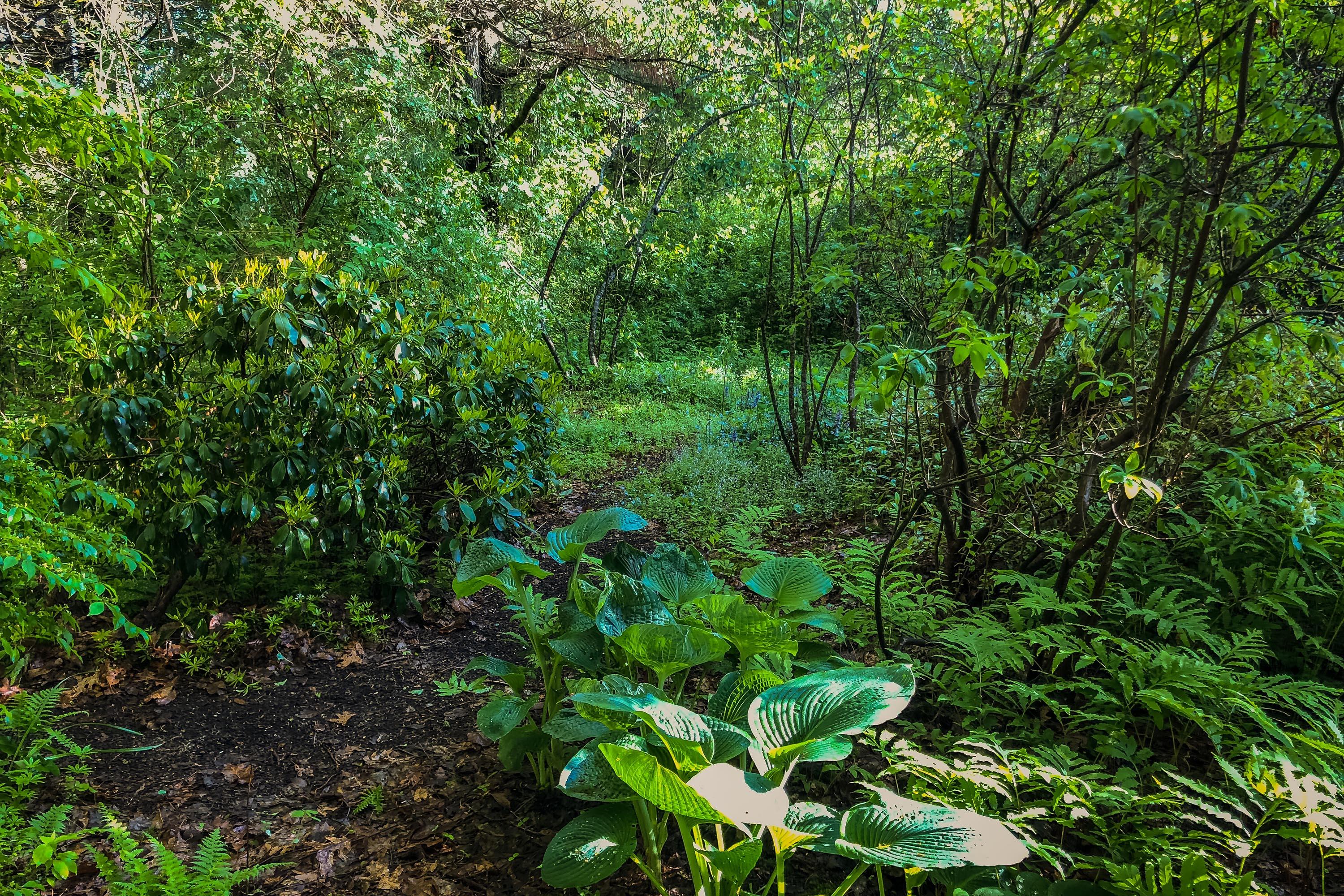 Lot 36 High Head Road Harpswell, ME 04079 - Photo 6 of 16 IMG_7041