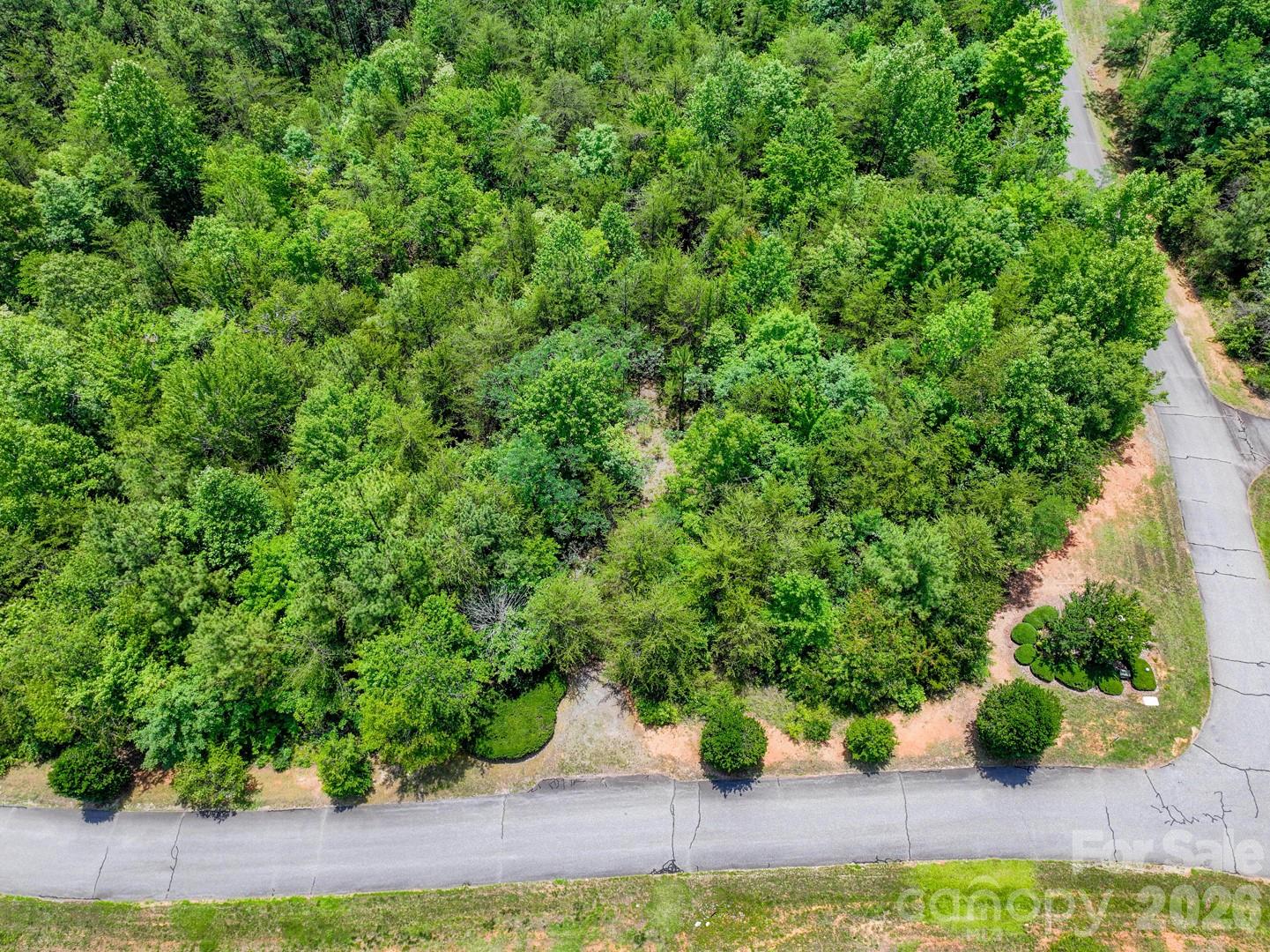 121 Jobes Trail, Unit 35 Mill Spring, NC 28756 - Photo 4 of 20