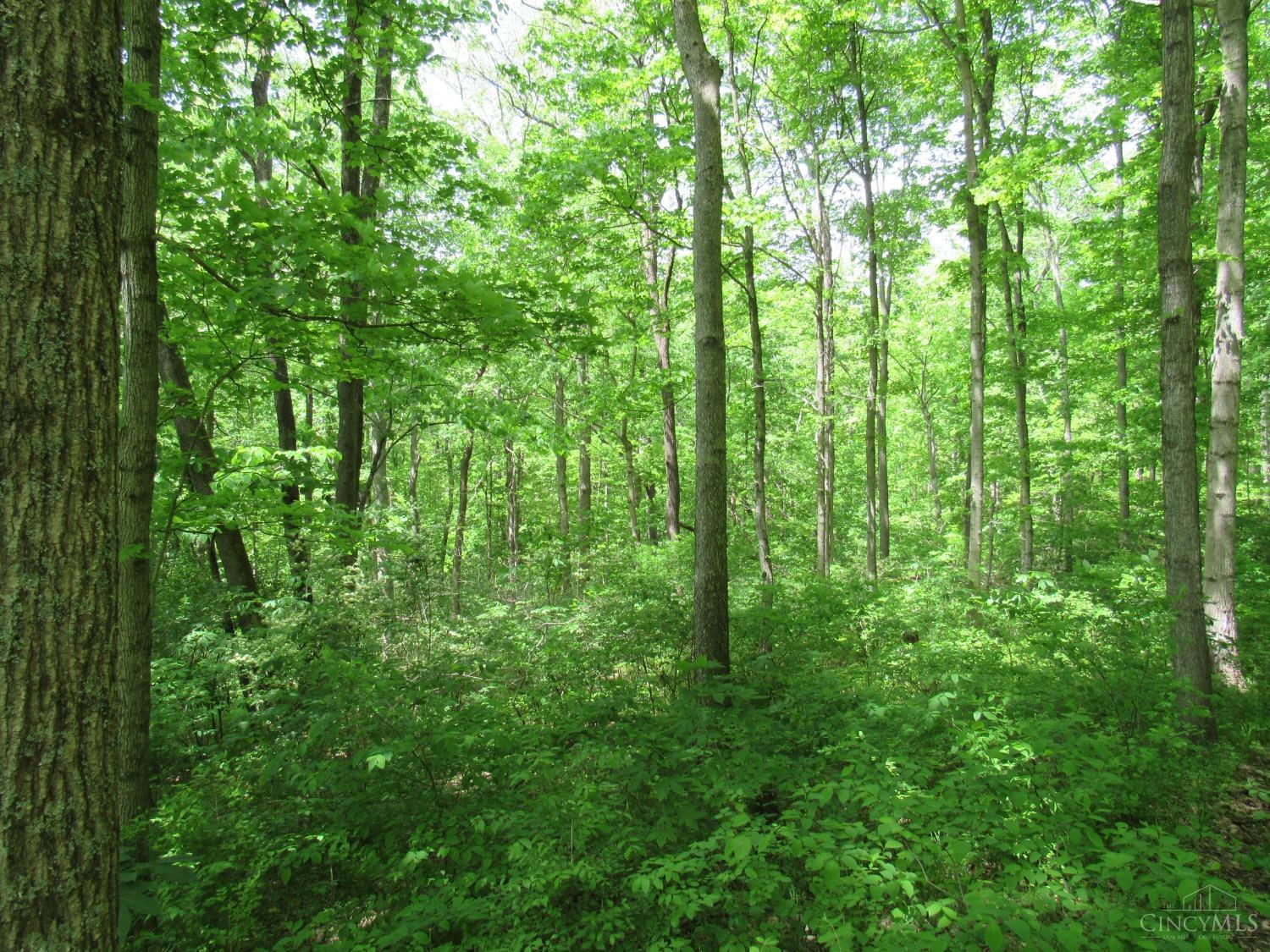 5491 Thomas Road Georgetown, OH 45121 - Photo 11 of 18