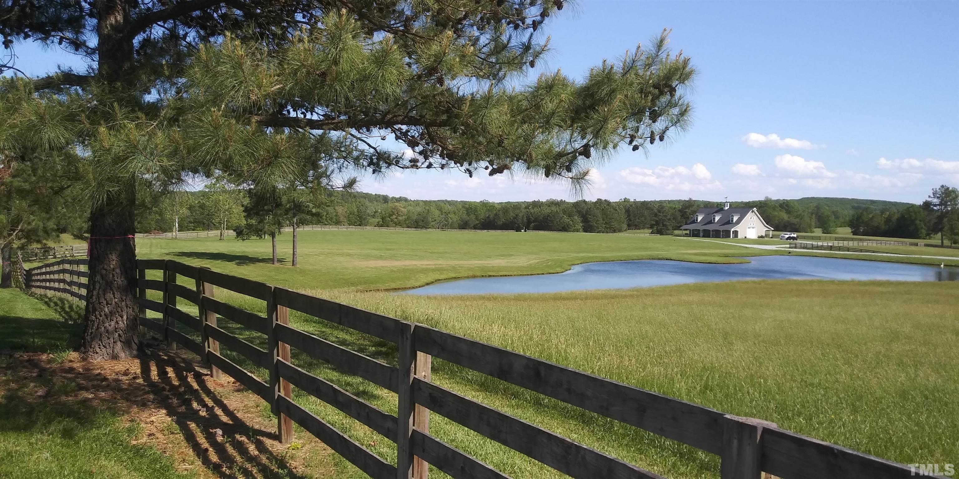 a view of a field of grass and trees