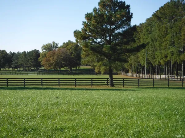 a view of a green field