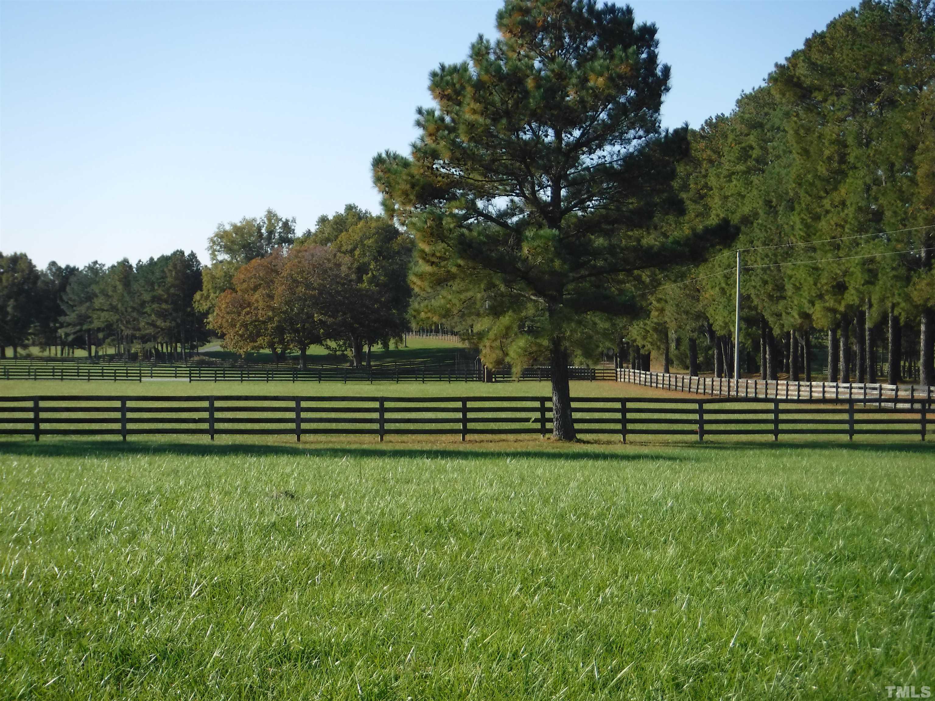4708 Uzzle Road Rougemont, NC 27572 - Photo 15 of 51 a view of a park