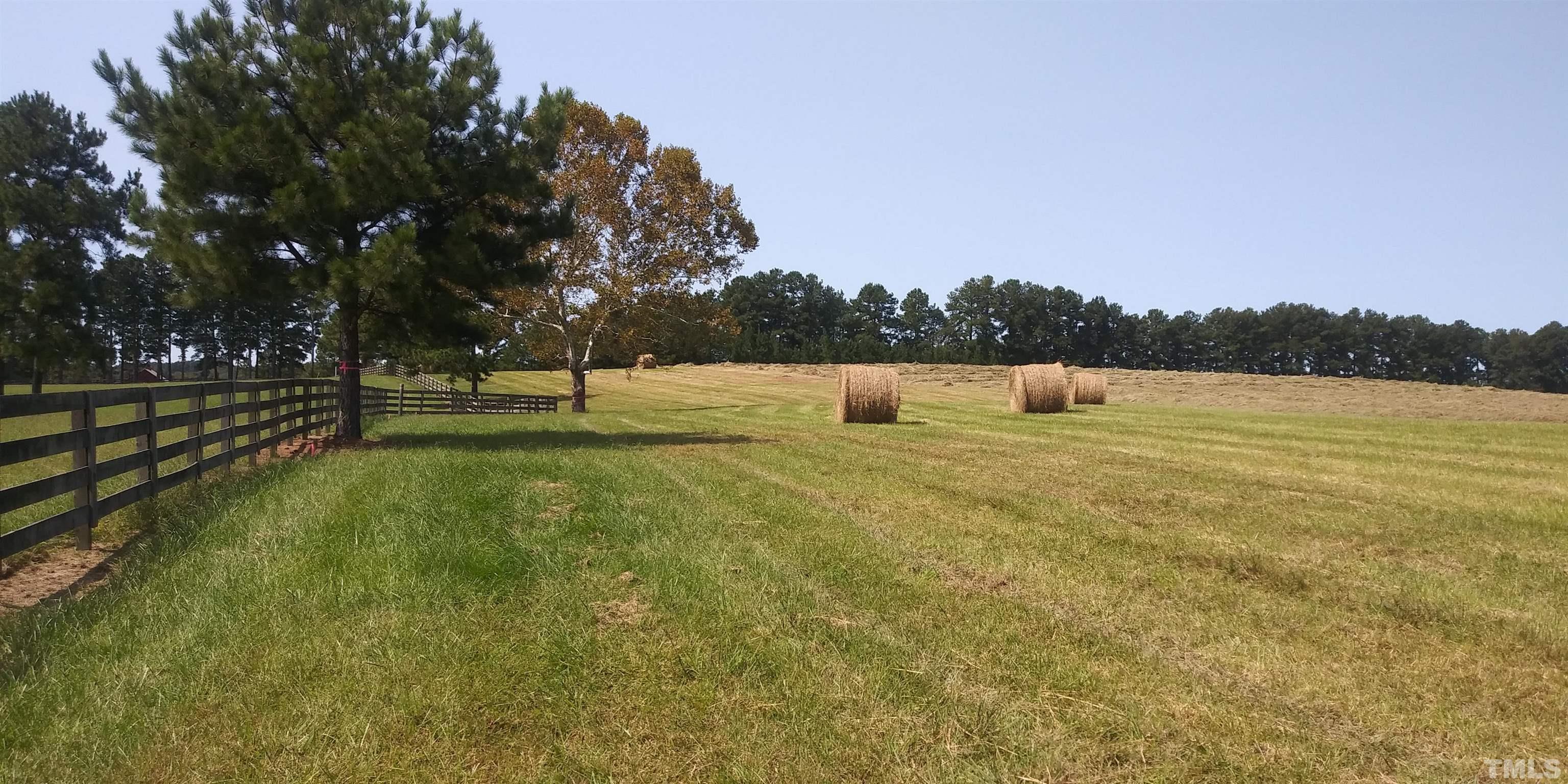 4708 Uzzle Road Rougemont, NC 27572 - Photo 26 of 51 a view of outdoor space with green field and trees