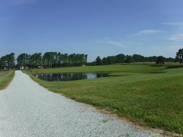 a view of a lake and green valley