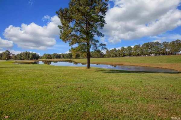 a view of a park with large trees