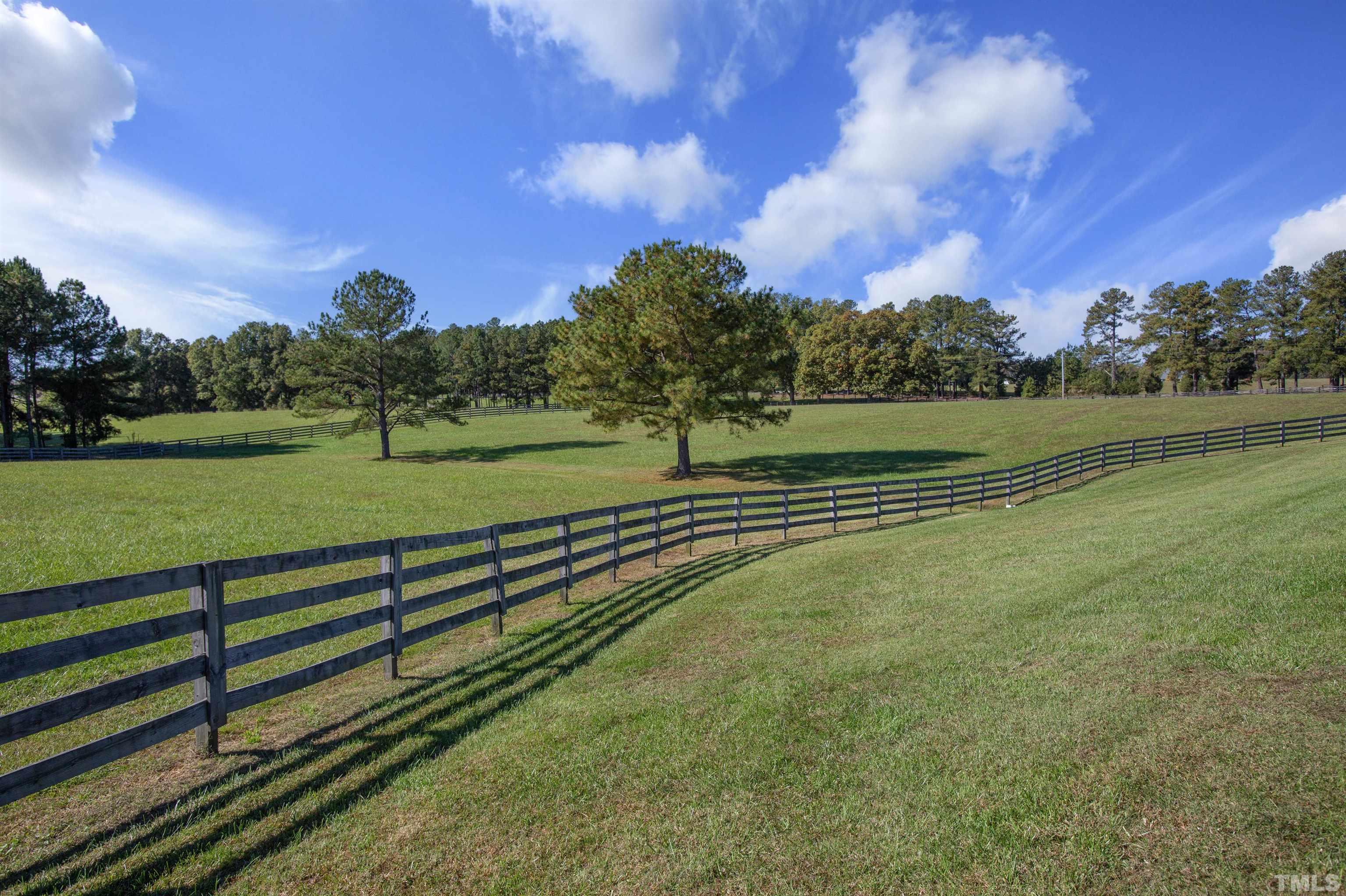 4708 Uzzle Road Rougemont, NC 27572 - Photo 50 of 51 a view of a park with large trees