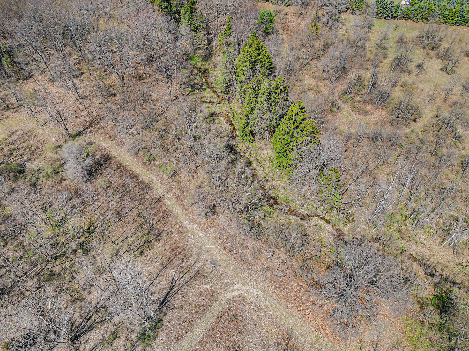 6033 Territorial Road Benton Harbor, MI 49022 - Photo 3 of 23 DJI_0039
