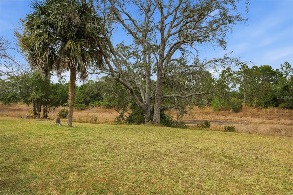 4521 Bayridge Court Spring Hill, FL 34606 - Photo 31 of 37