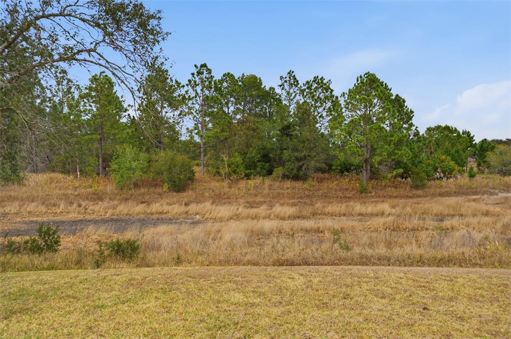 4521 Bayridge Court Spring Hill, FL 34606 - Photo 32 of 37