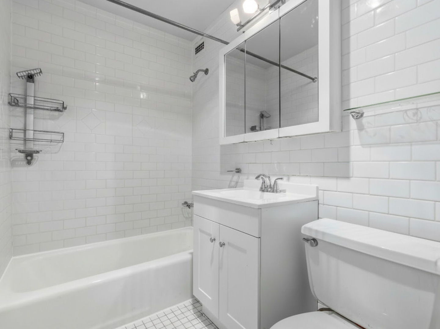 1700 East 56th Street, Unit 703 Chicago, IL 60637 - Photo 10 of 11