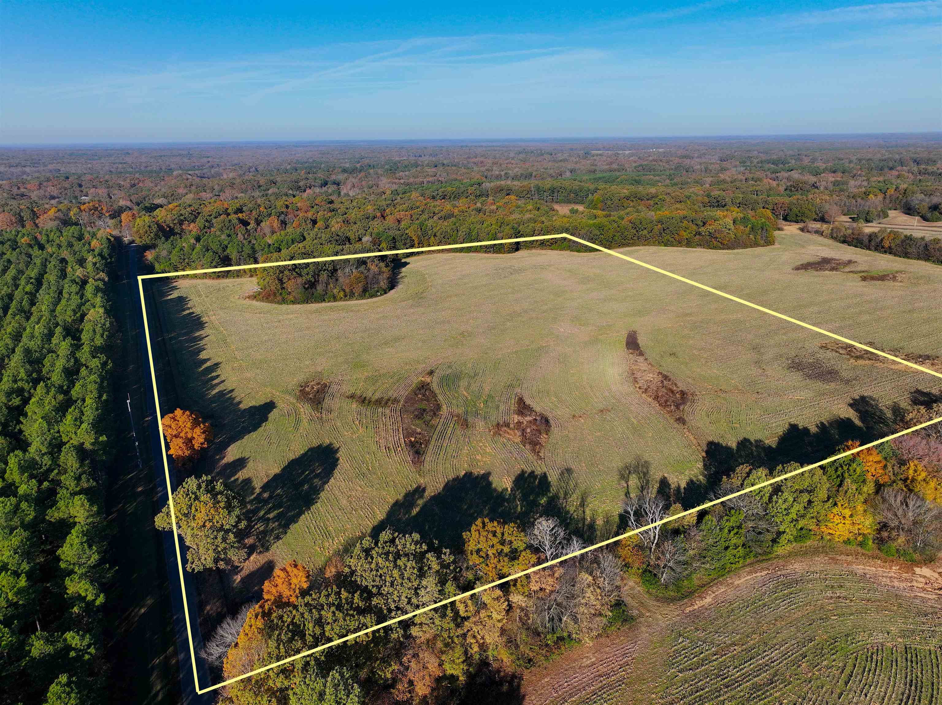 295 West Fork Road Grand Junction, TN 38039 - Photo 11 of 12 an aerial view of a house