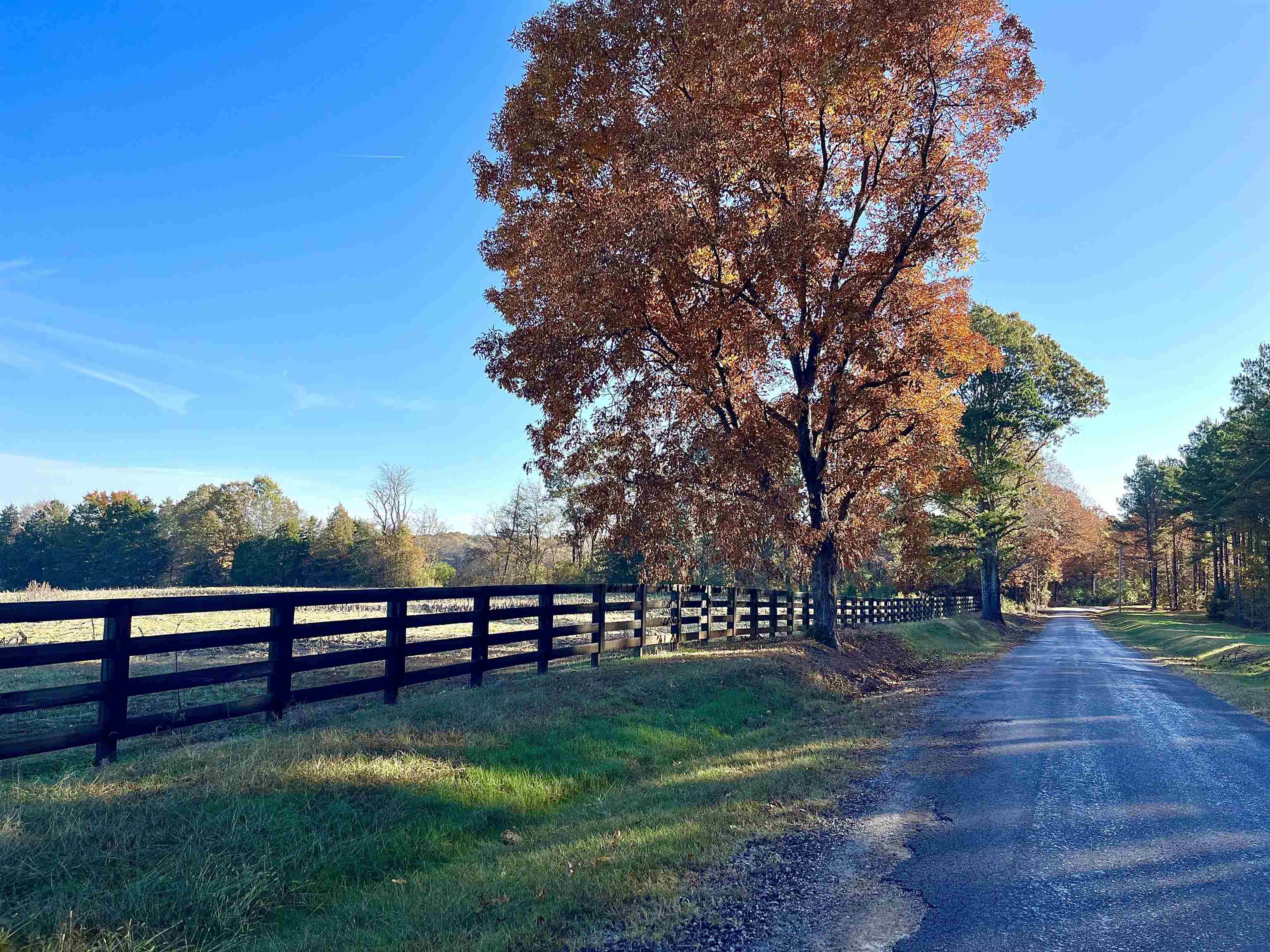 295 West Fork Road Grand Junction, TN 38039 - Photo 2 of 12 a view of park with bench and trees