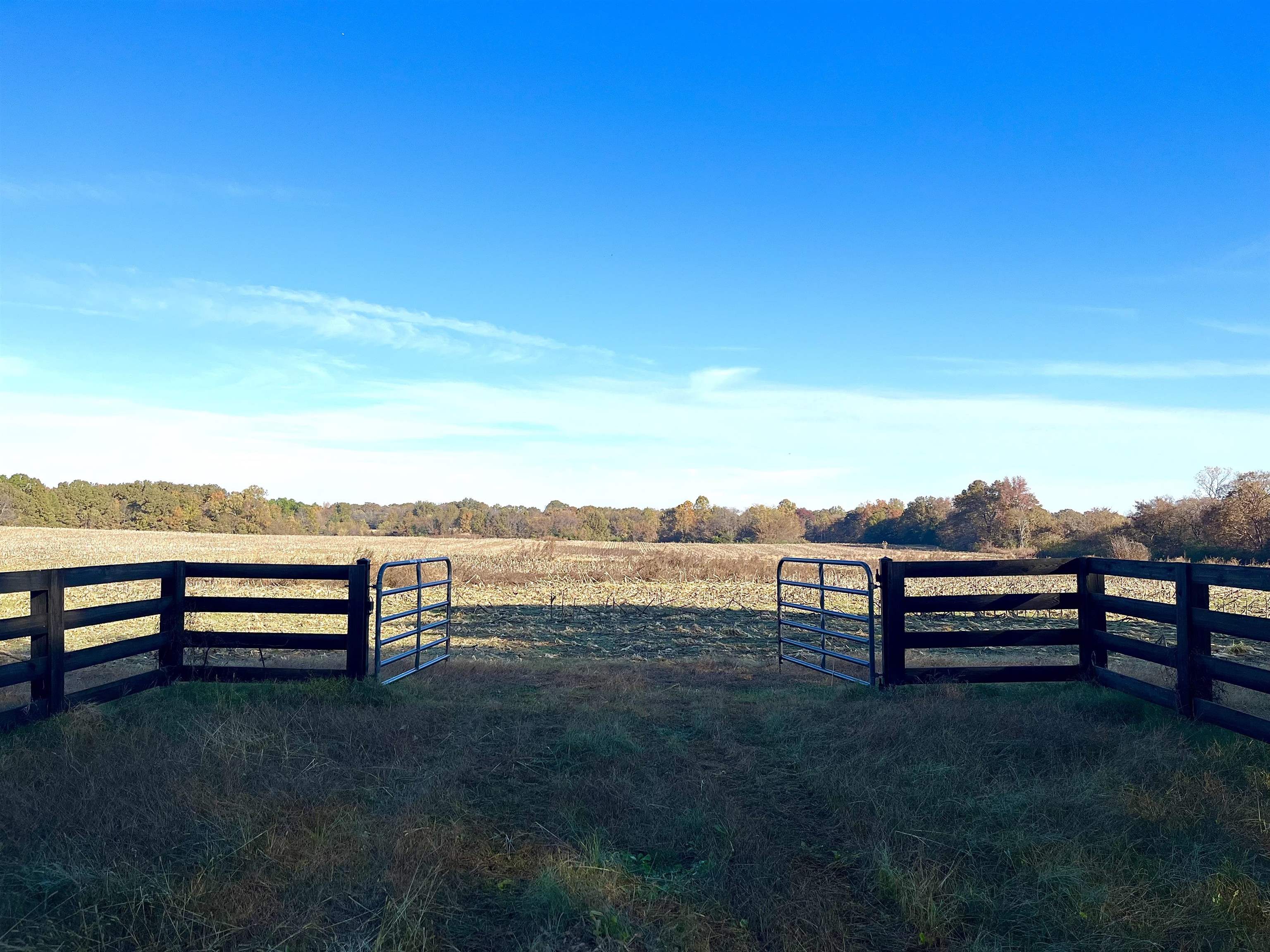 295 West Fork Road Grand Junction, TN 38039 - Photo 4 of 12 a view of a bench sitting in a park