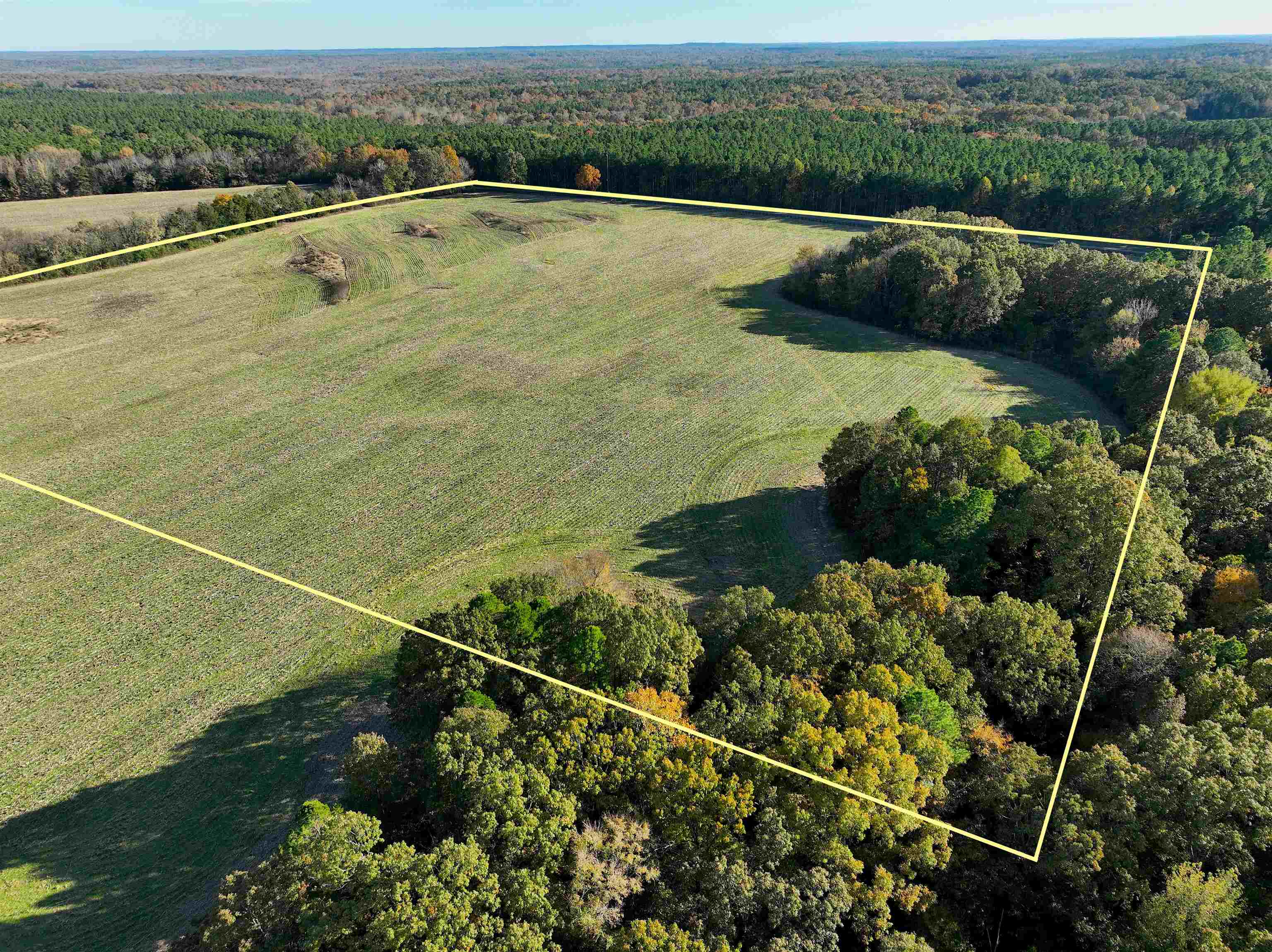 295 West Fork Road Grand Junction, TN 38039 - Photo 8 of 12